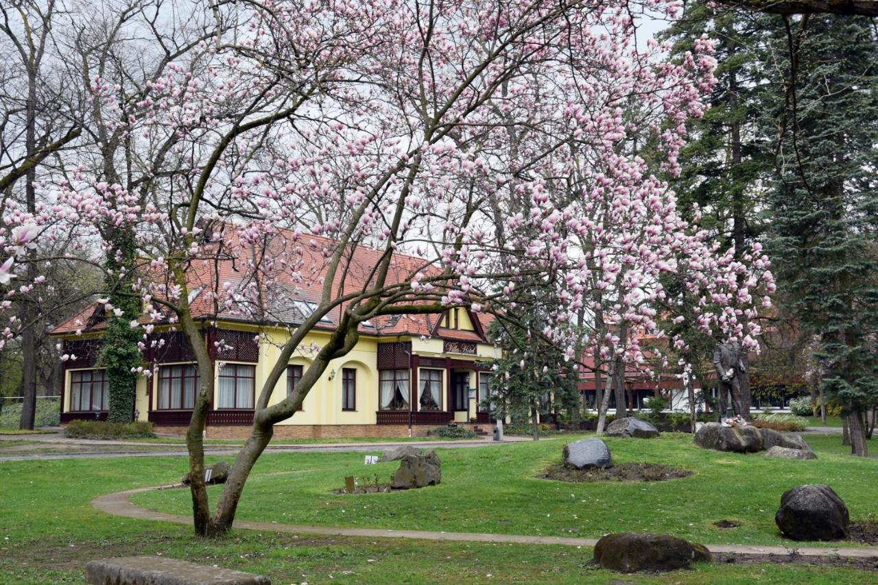 Villa Hotel Debrecen Extérieur photo