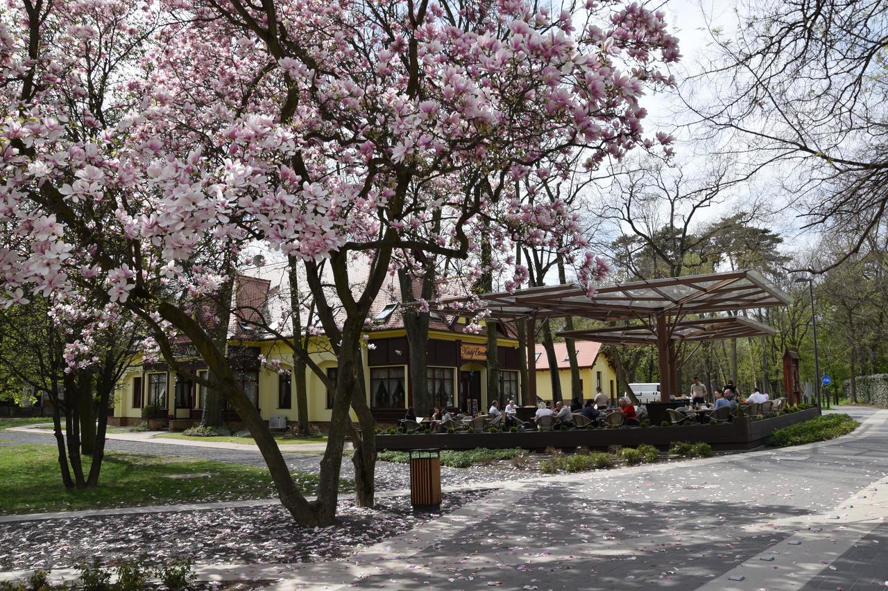 Villa Hotel Debrecen Extérieur photo